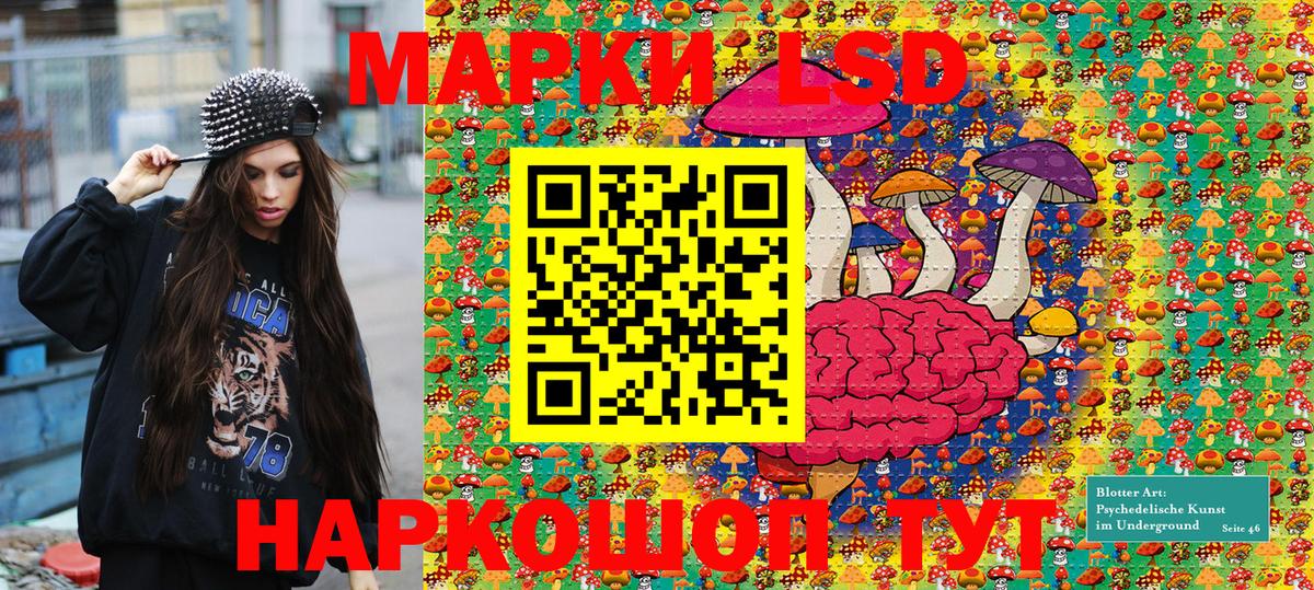 Наркотические марки 1,5мг  Вход с VPN  Хасавюрт  Наркотические марки  Наркотические марки 1,5мг 