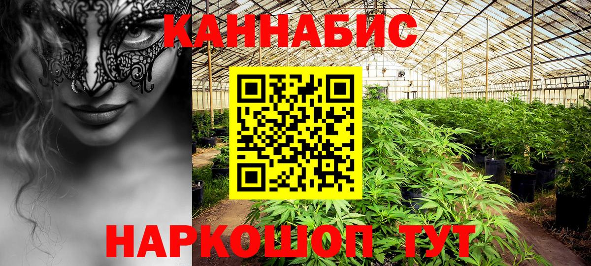 Конопля марихуана Хасавюрт